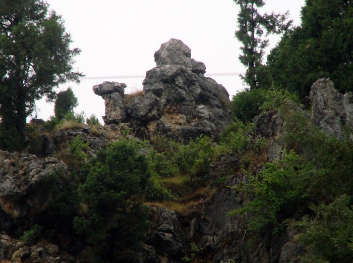 Camel’s Back Road, Mussoorie