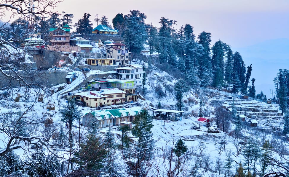 Kufri - place to visit in Shimla with photos