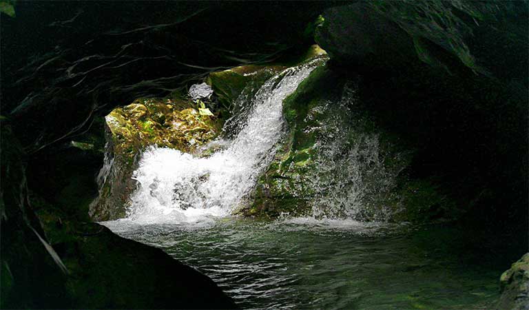 Robber’s Cave, Mussoorie