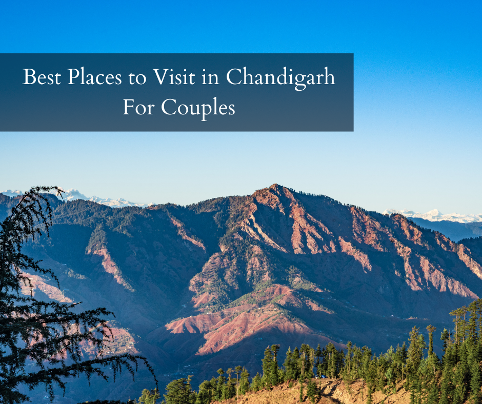 Best Places to Visit in Chandigarh For Couples